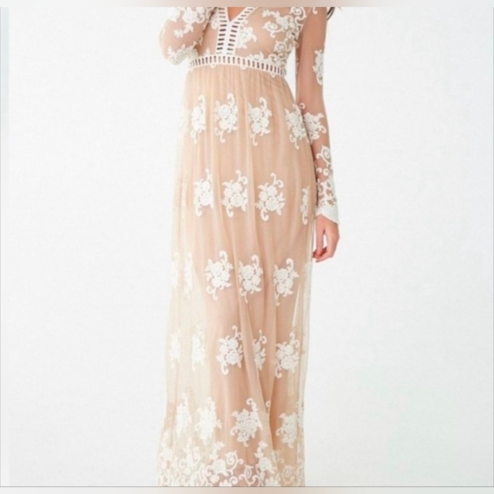 Forever 21 Sheer Embroidered Maxi Dress